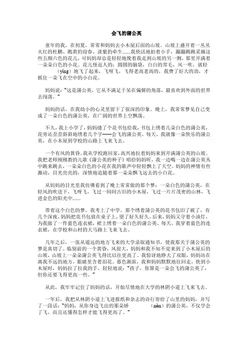 会飞的蒲公英