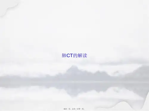 肺CT的解读讲课文档