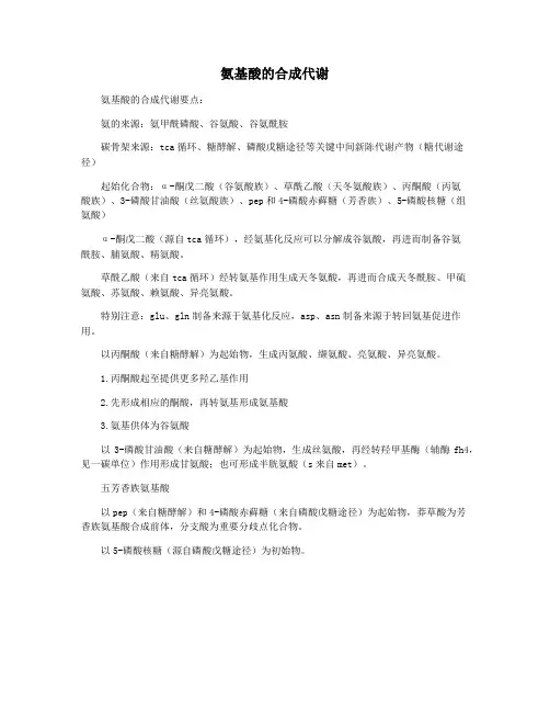 氨基酸的合成代谢