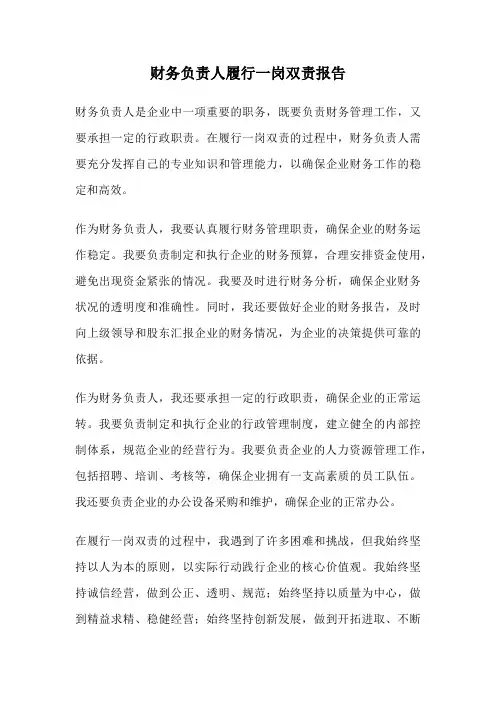 财务负责人履行一岗双责报告