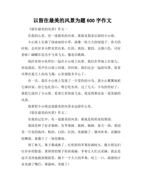 以留住最美的风景为题600字作文