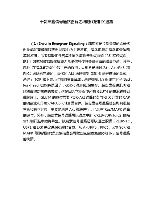 干货细胞信号通路图解之细胞代谢相关通路