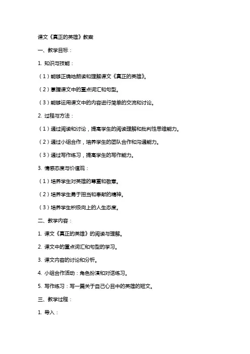 课文《真正的英雄》教案