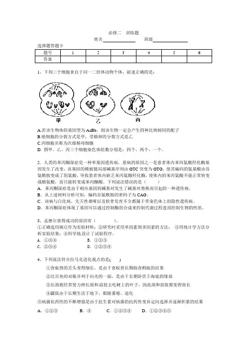 人教版高中生物一轮复习必修二训练题DOC