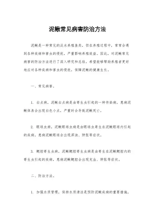 泥鳅常见病害防治方法
