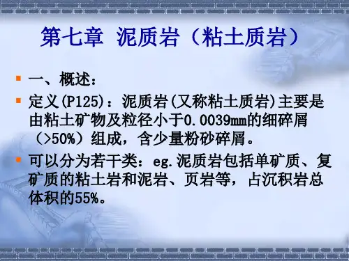 泥质岩
