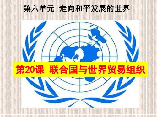 部编版九年级历史下册课件第6单元全套
