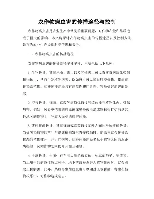 农作物病虫害的传播途径与控制