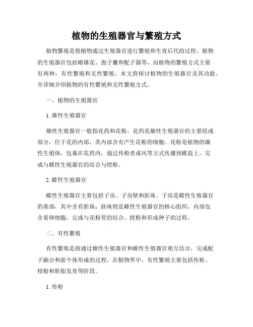 植物的生殖器官与繁殖方式