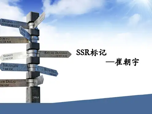 SSR分子标记讲解