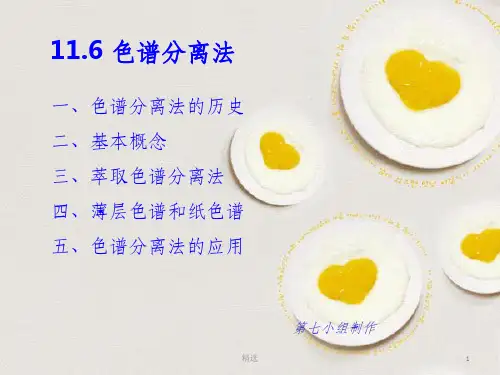 薄层色谱和纸层析