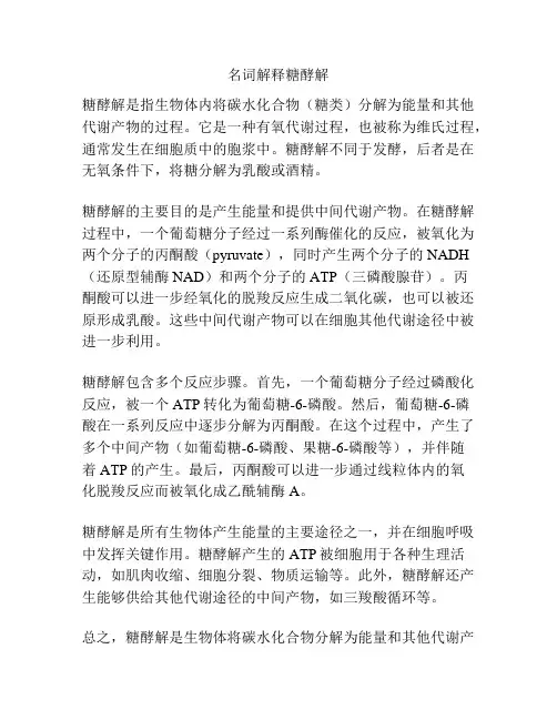 名词解释糖酵解