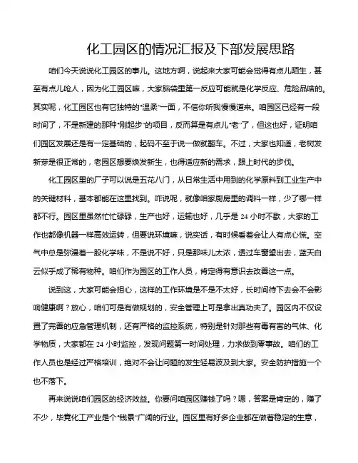 化工园区的情况汇报及下部发展思路