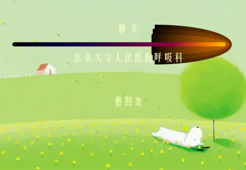 《内科肺炎》幻灯片PPT