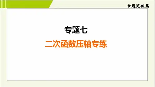 2025年中考数学总复习第一部分专题突破专题7 二次函数压轴专练