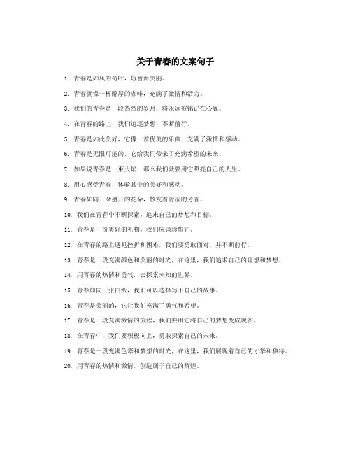 关于青春的文案句子