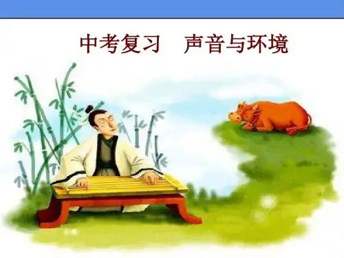 沪粤版初中物理总复习 声音与环境