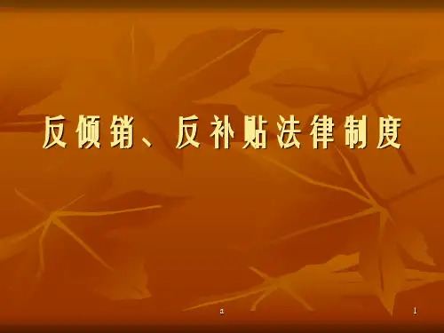 《反倾销反补贴法》PPT课件