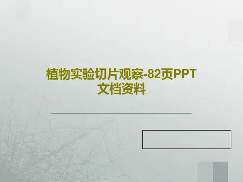 植物实验切片观察-82页PPT文档资料PPT84页
