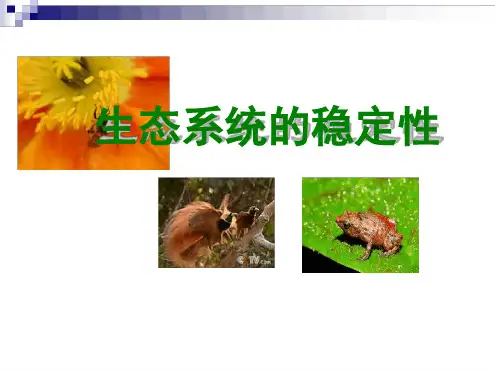中图版必修三生态系统的稳定性课件17张