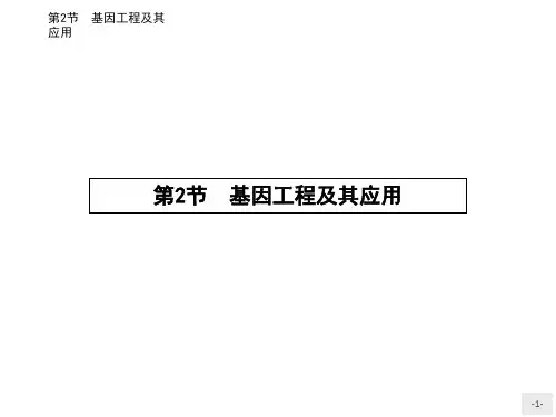 【人教版】高中生物必修二：6.2《基因工程及其应用》ppt导学课件(含答案)