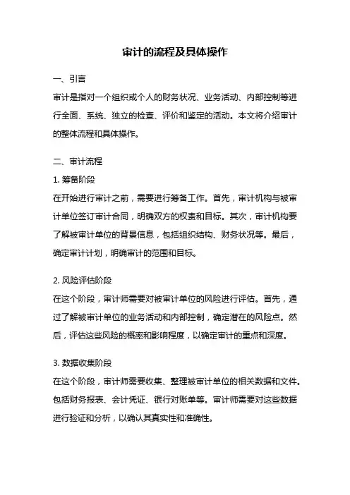 审计的流程及具体操作