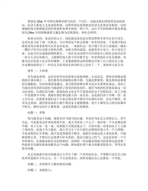 中国农村和谐社会调查报告范文
