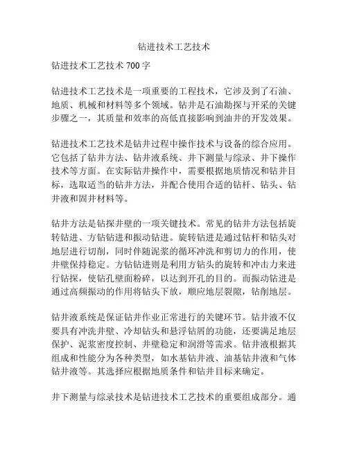 钻进技术工艺技术