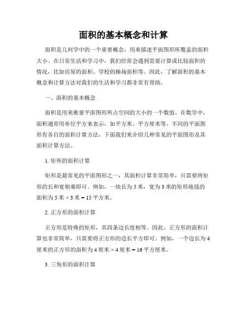 面积的基本概念和计算