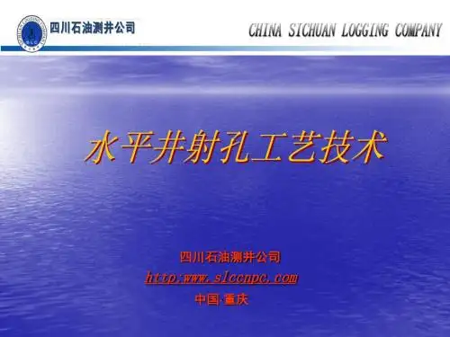 水平井资料