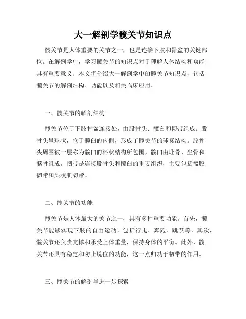 大一解剖学髋关节知识点