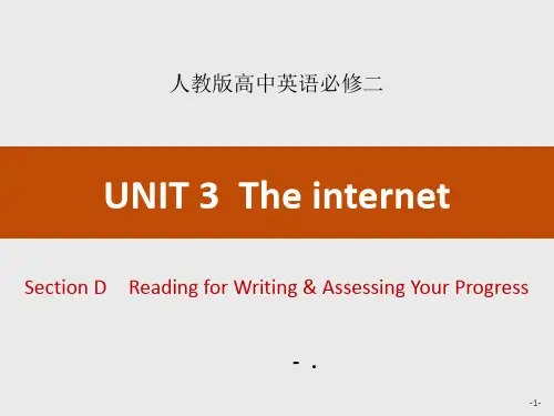 《The internet》Section D PPT