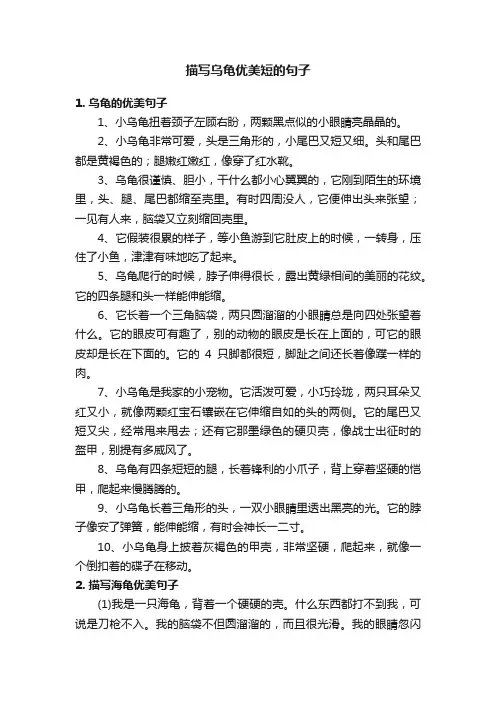 描写乌龟优美短的句子