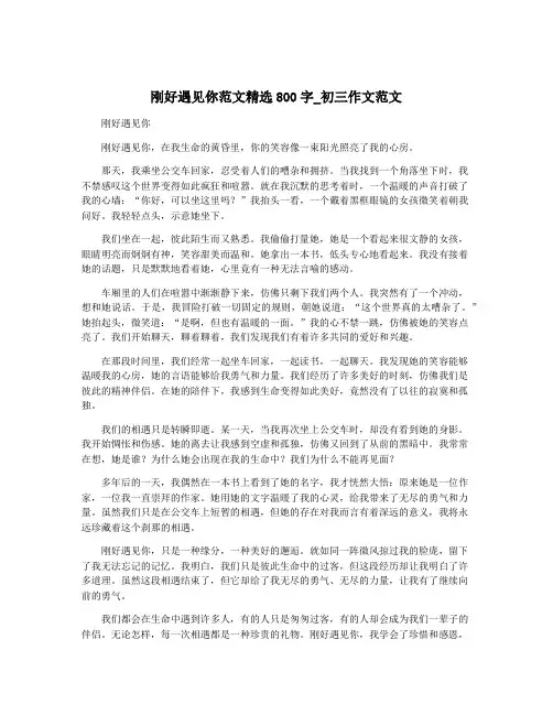 刚好遇见你范文精选800字_初三作文范文