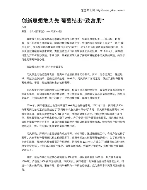创新思想敢为先   葡萄结出“致富果”