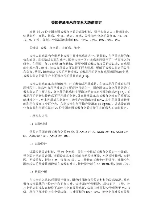 美国普通玉米自交系大斑病鉴定