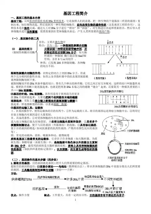 基因工程简介
