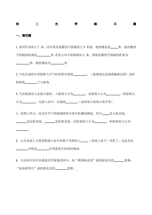 初中物理光学经典训练题集锦含标准答案