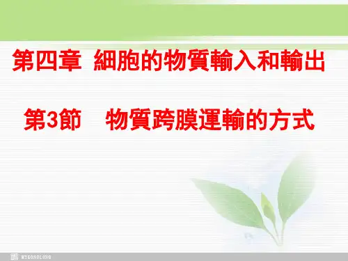 人教版高中生物课件-物质跨膜运输的方式