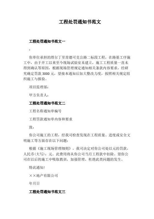 工程处罚通知书范文
