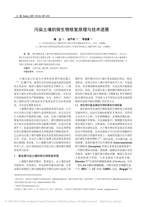 污染土壤的微生物修复原理与技术进展_滕应