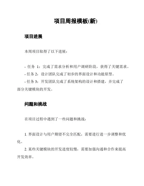 项目周报模板(新)