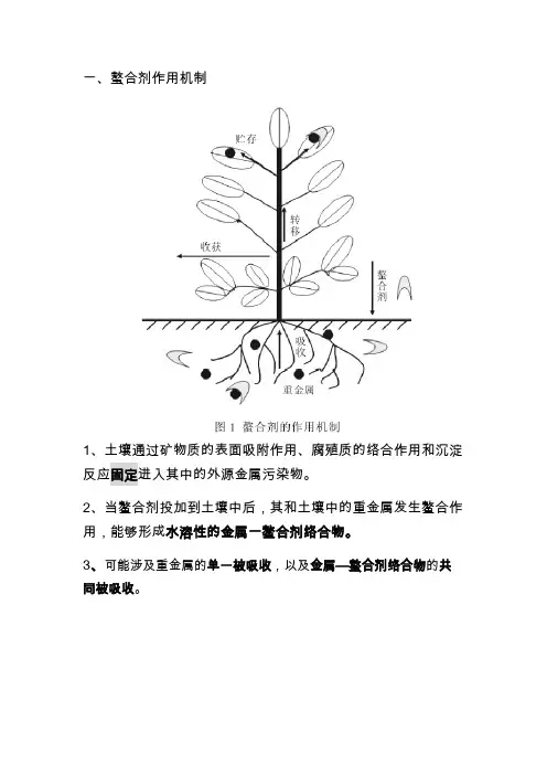 螯合剂的选择