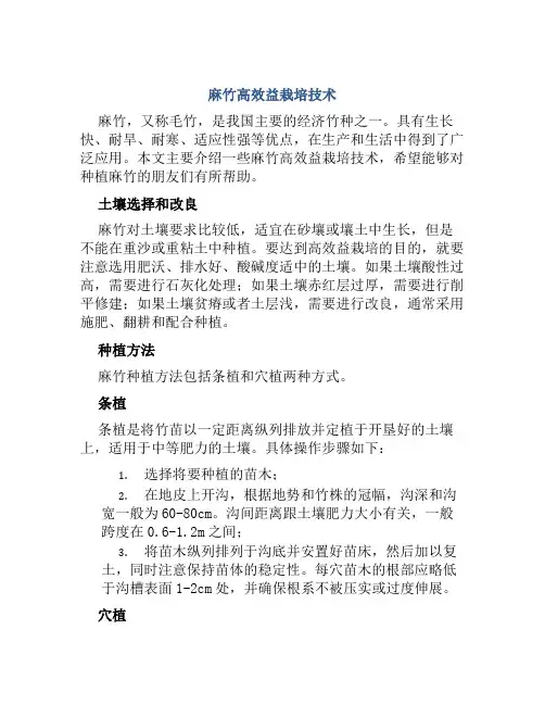 麻竹高效益栽培技术
