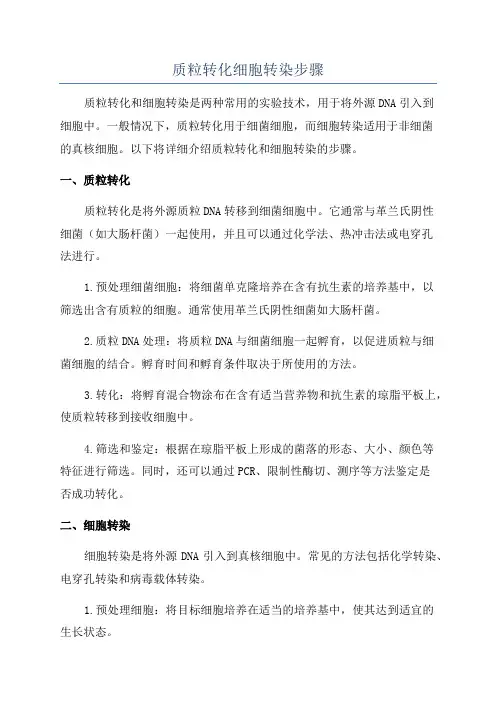 质粒转化细胞转染步骤