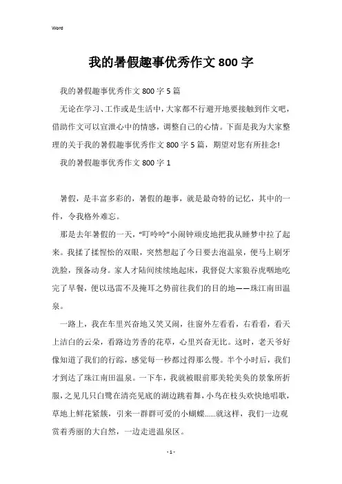 我的暑假趣事优秀作文800字