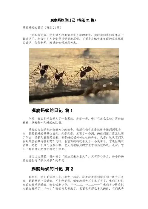 观察蚂蚁的日记(精选21篇)