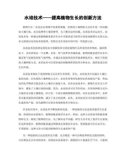 水培技术——提高植物生长的创新方法