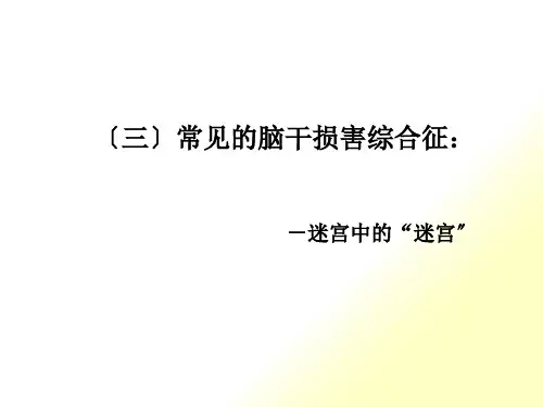 常见的脑干损害综合征-迷宫中的+迷宫