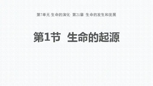 《生命的起源》PPT精品课件